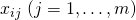 x_{ij} \; (j=1, \ldots, m)